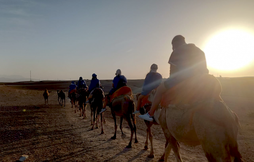 Agafay Desert & Atlas Mountains Day Trip
