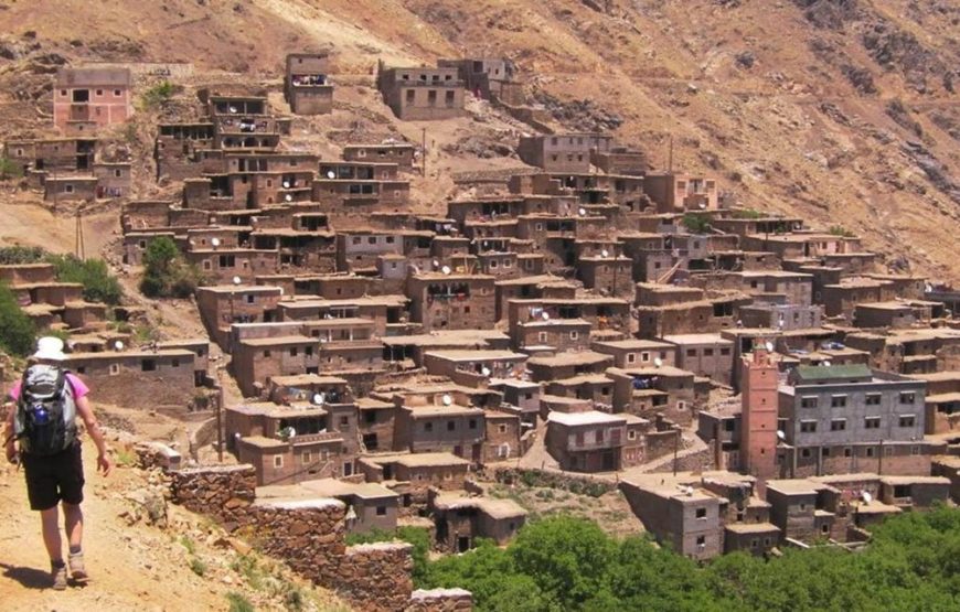 Agafay Desert & Atlas Mountains Day Trip